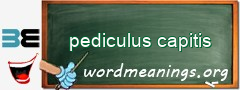 WordMeaning blackboard for pediculus capitis